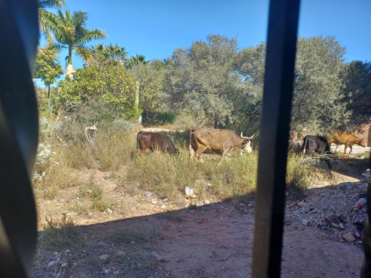 Hacienda Gallardos 104-3 San Carlos Nuevo Guaymas Bagian luar foto